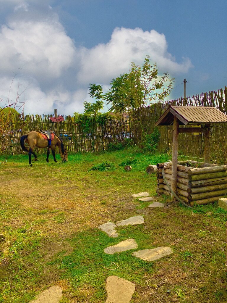 Horse riding Rancho U Ivanycha, Krasnodar, photo