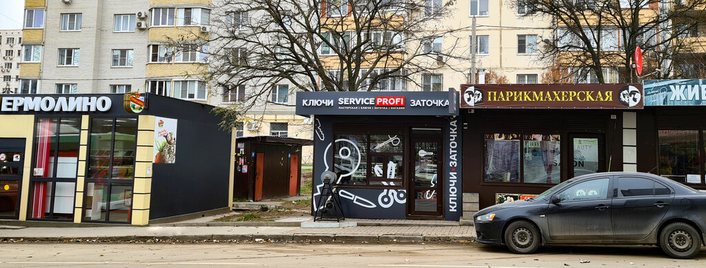 Профи ростов на дону фото