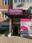 Sovenok (Prikubanskiy City administrative district, mikrorayon imeni Petra Metalnikova, Peter Metalnikov Street, 3/1к1), children's store