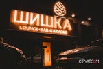 Шишка Premium (Gagarin Avenue, 124), restaurant