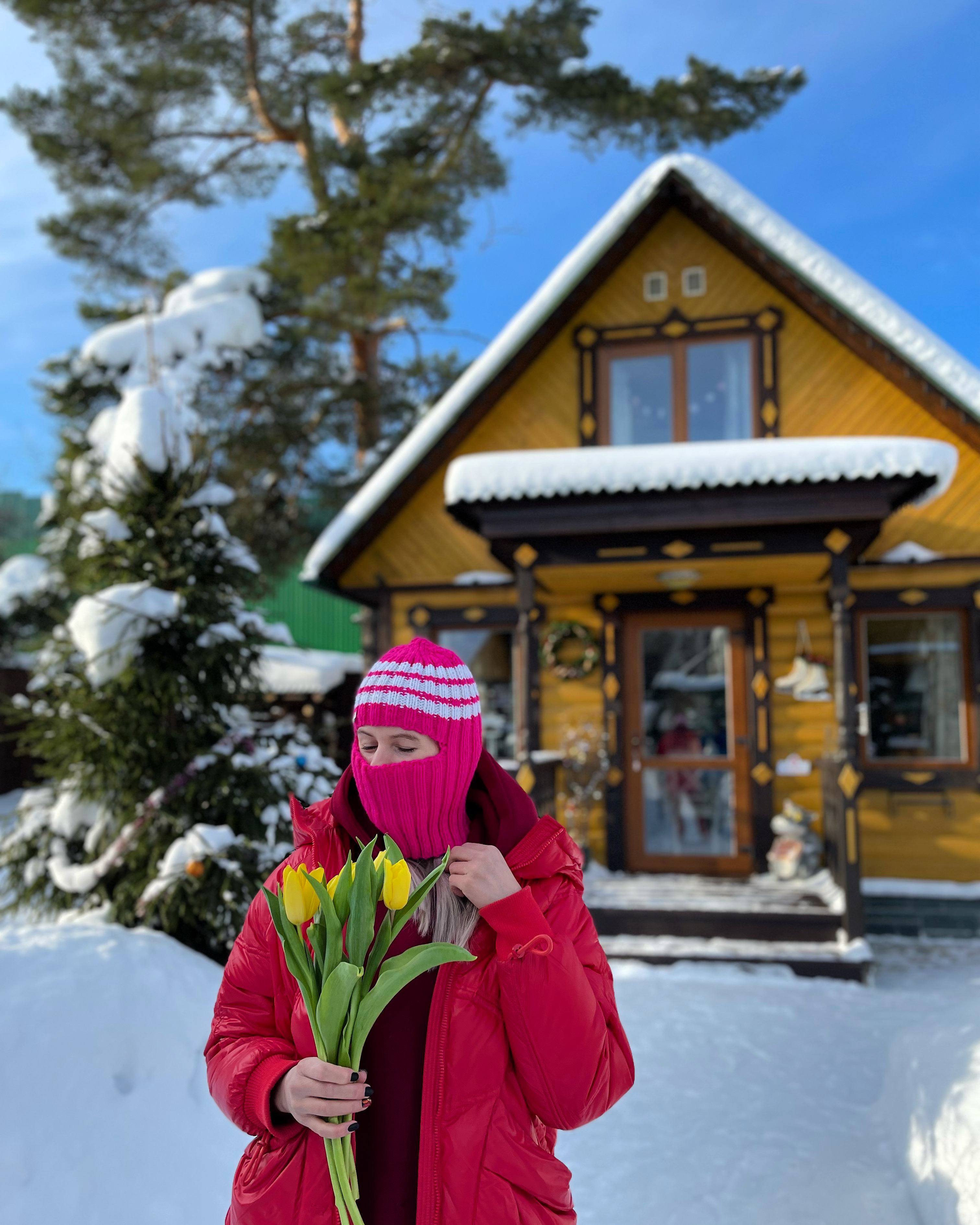 Фото Дом Шишки