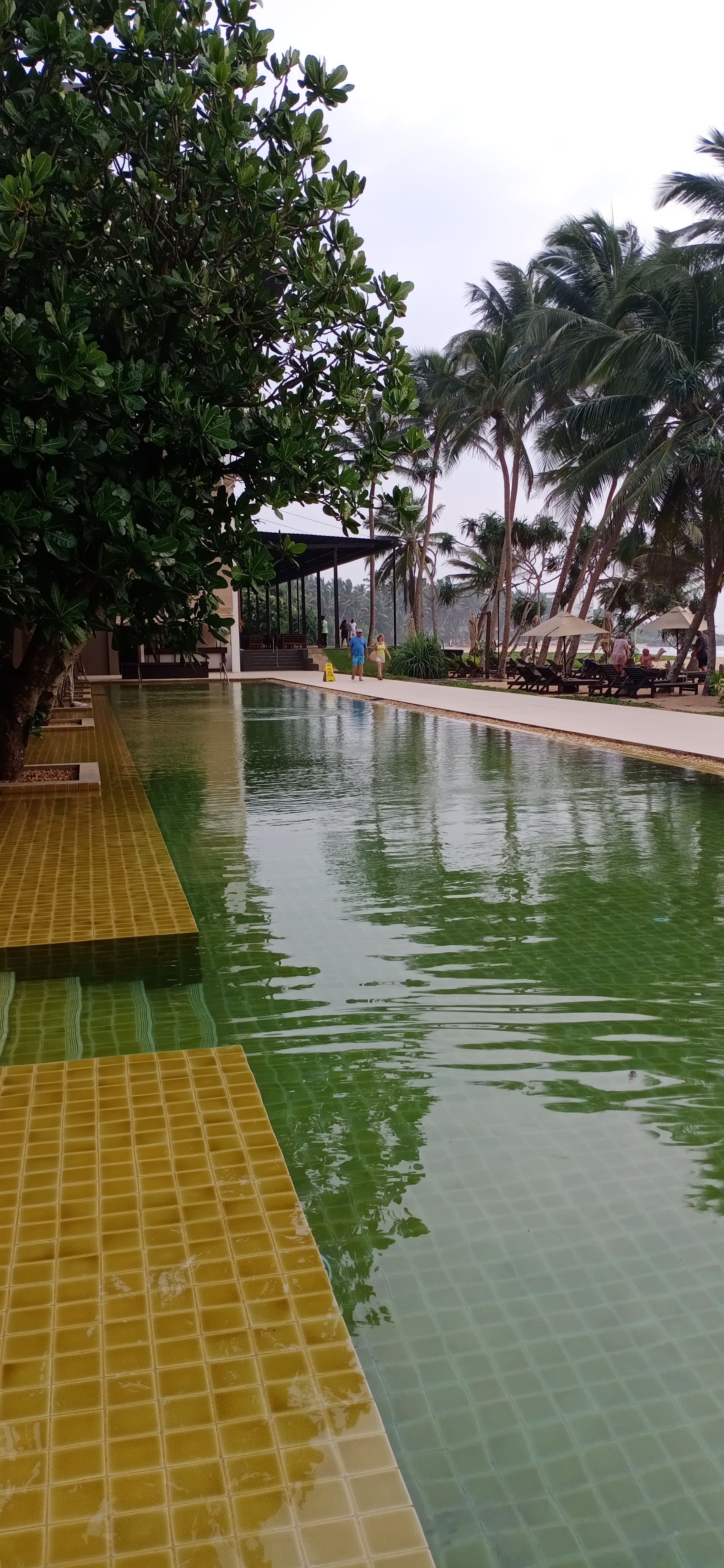 Фото Pandanus Beach Resort & SPA