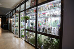 KheppiFlora (Niezaliezhnasci Avenue, 11к2), flower shop