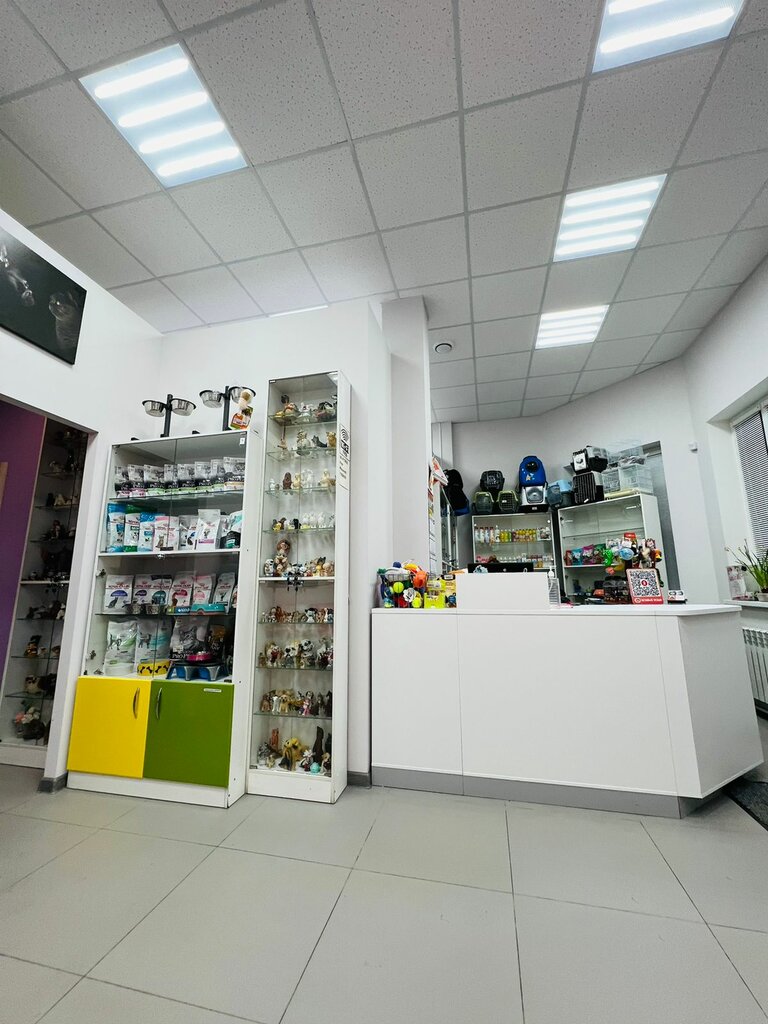 Veterinary clinic Dryg, Tula, photo
