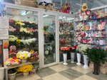 Цветы Можайск (derevnya Yamskaya, Yamskaya ulitsa, 8), flower shop