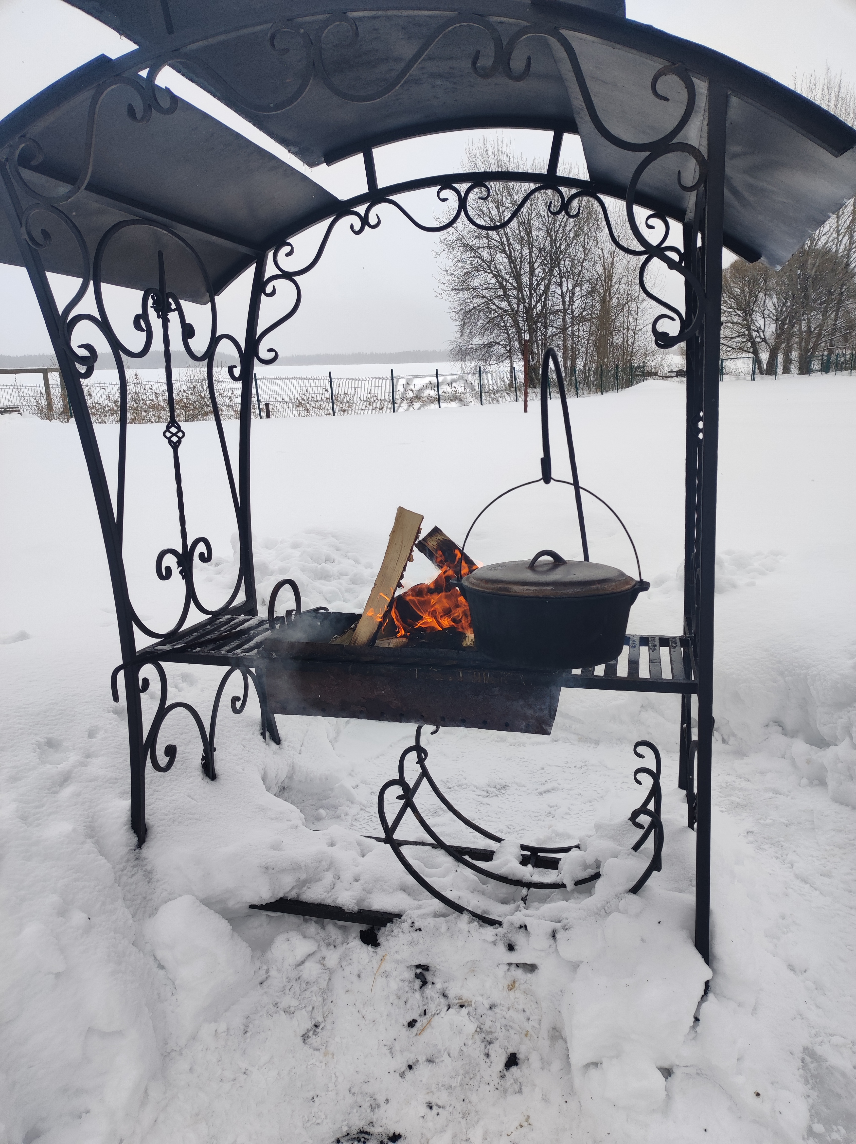 Фото Сорока