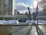 Московская школа (Перекопская ул., 36, Москва), школа искусств в Москве