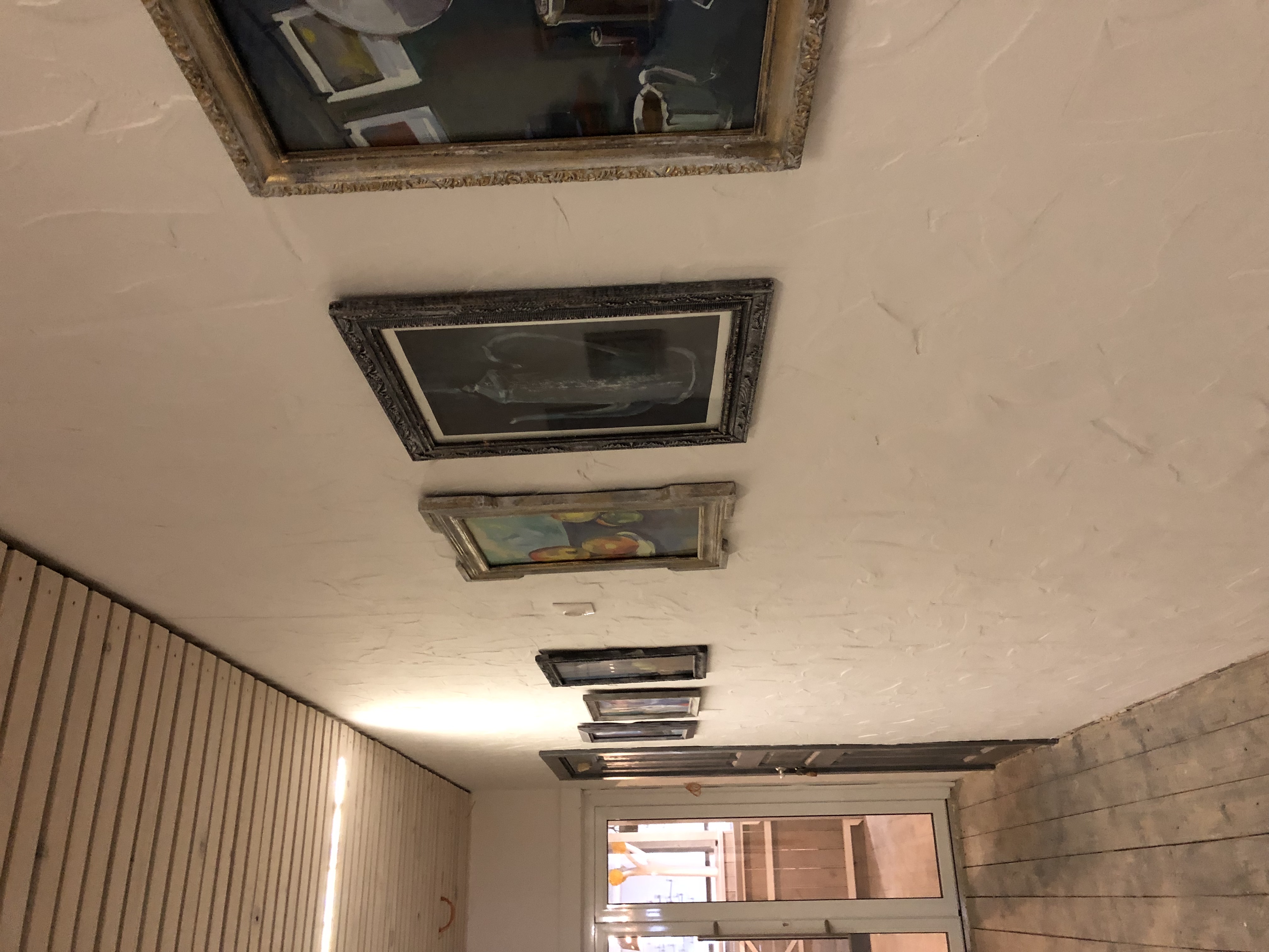 Фото Лосьпробежал