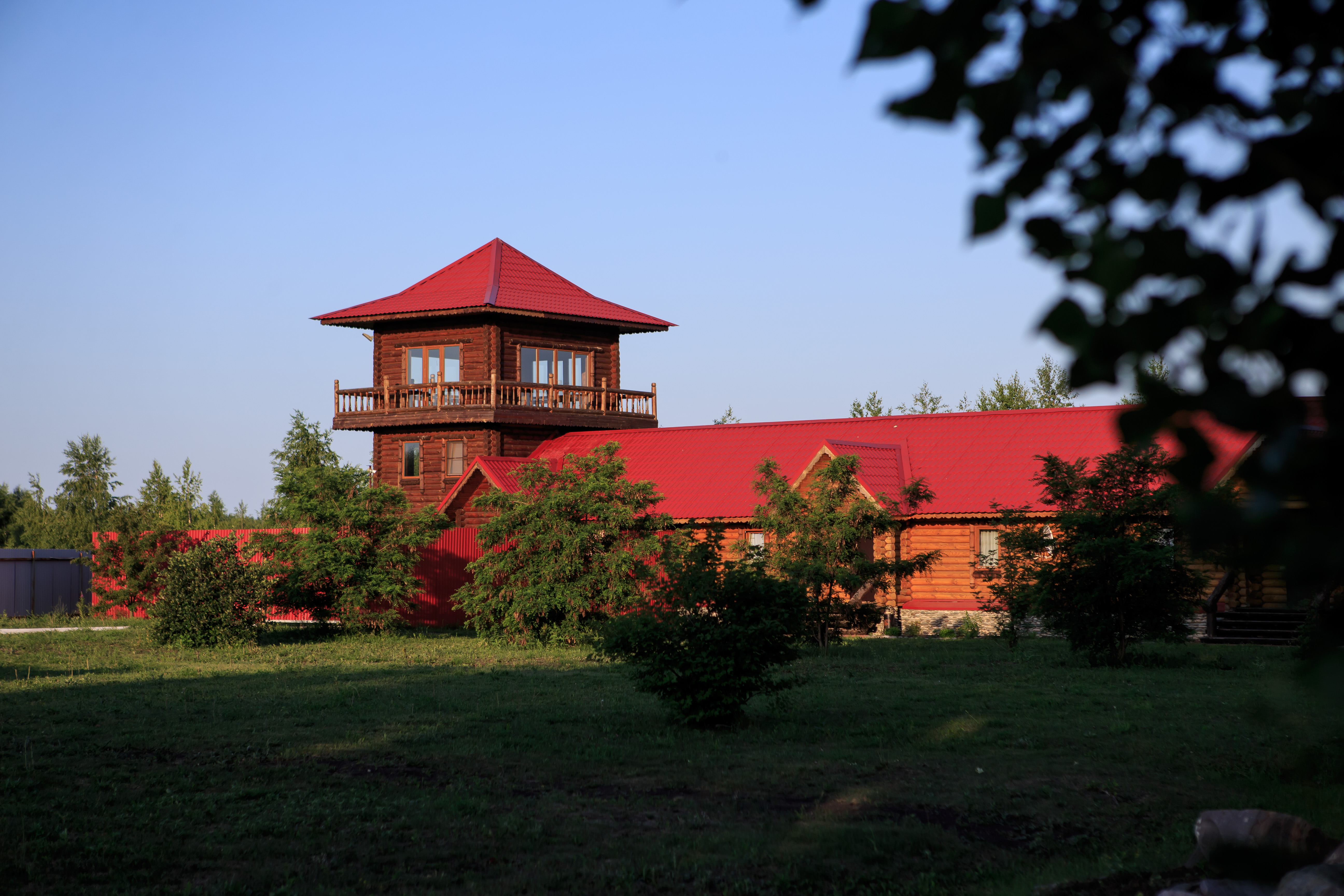 Фото Кленовая роща