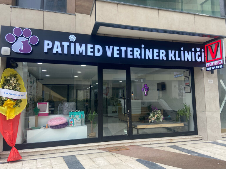 Veterinary clinic Patimed Veterinary Clinic, Istanbul, photo
