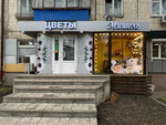 Michelle (Kursk, Karl Marx Street, 66к5), floristeria