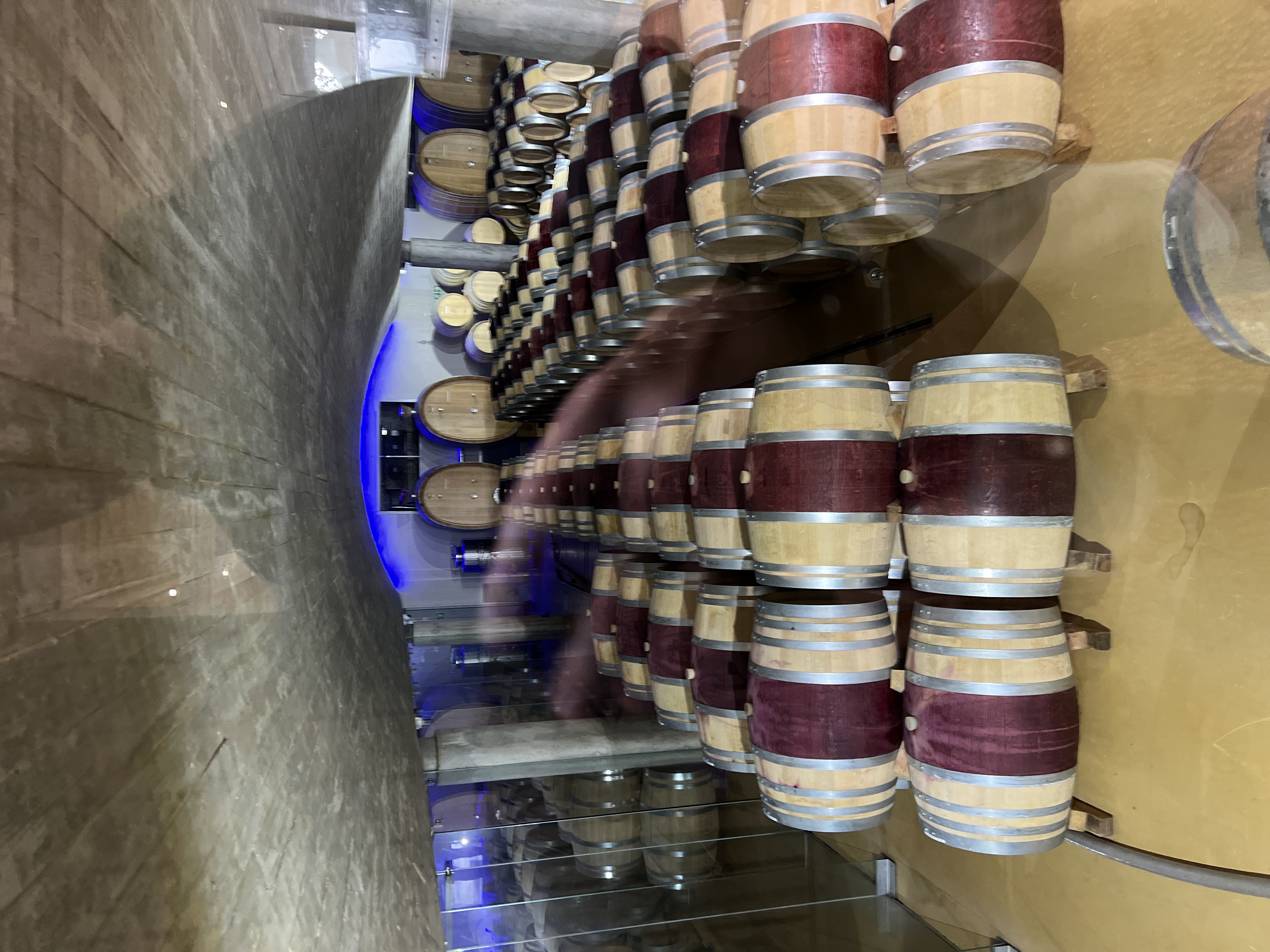 Фото Delaire Graff Lodges & SPA