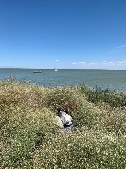 Фото Семья на море