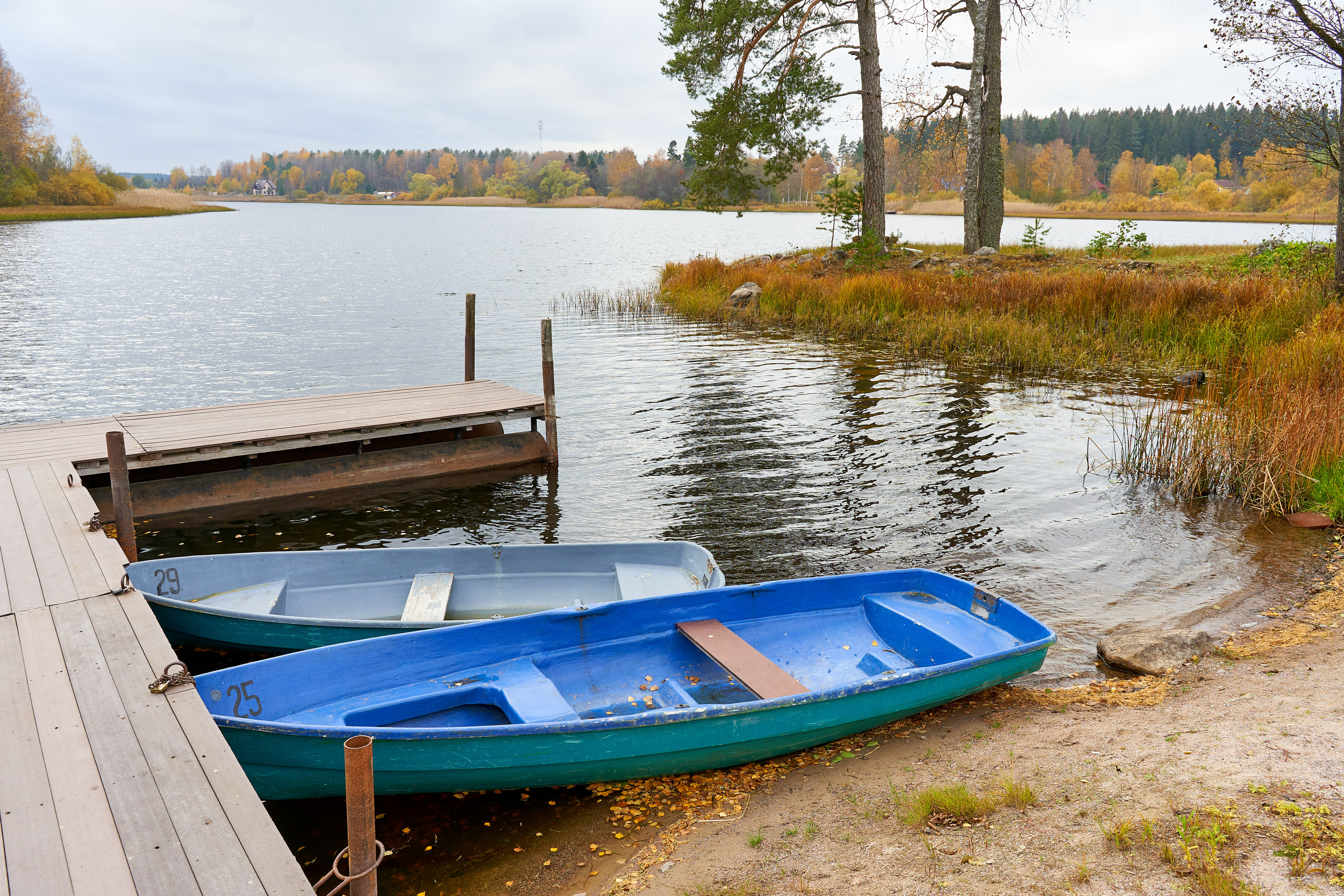 Фото Эко клуб Остров Суойа