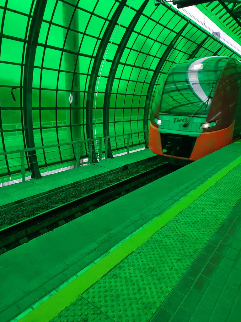 Metro station Станция МЦК Москва-Сити (Деловой центр), Moscow, photo