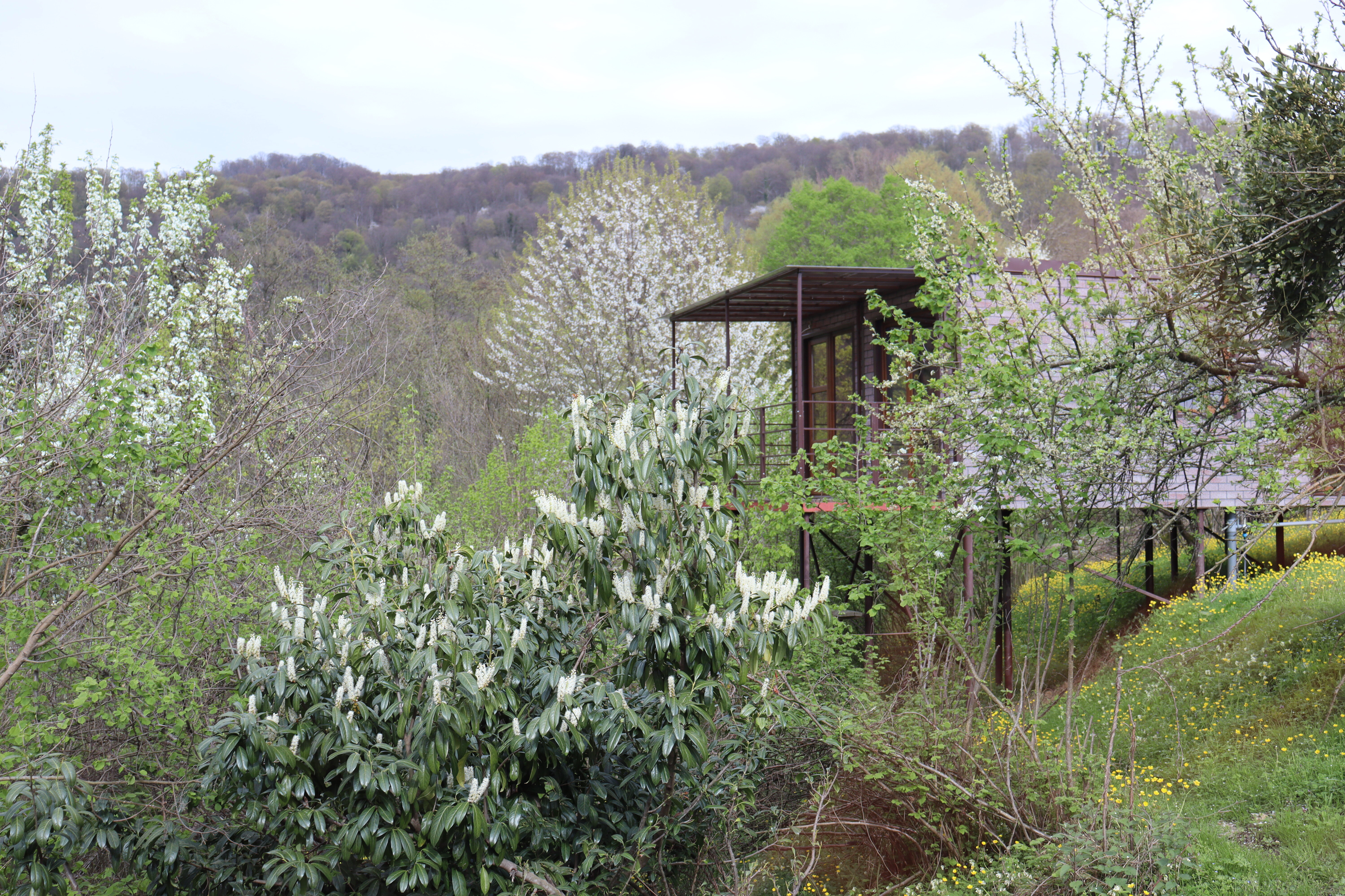 Фото Воронцовская Дача
