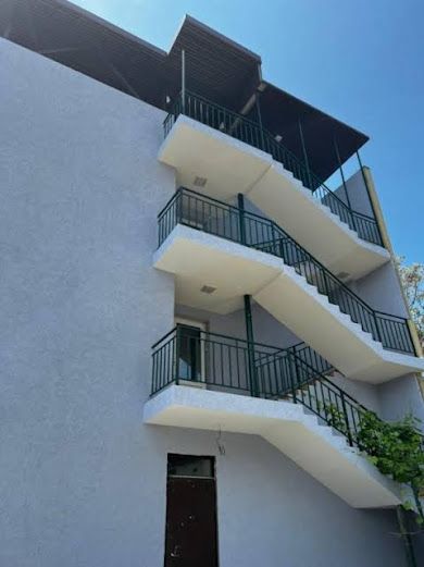 Фото Гиацинт