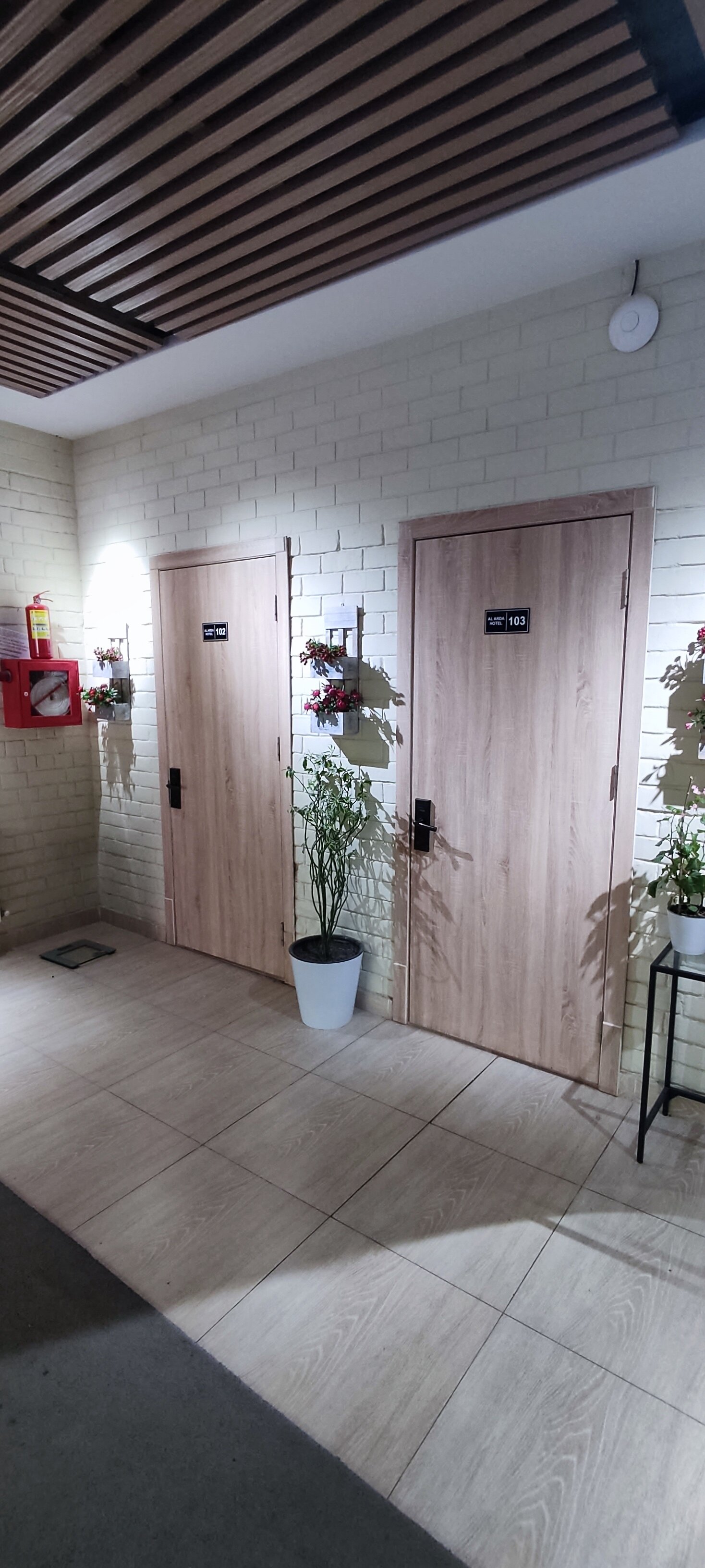 Фото Solief Hotel