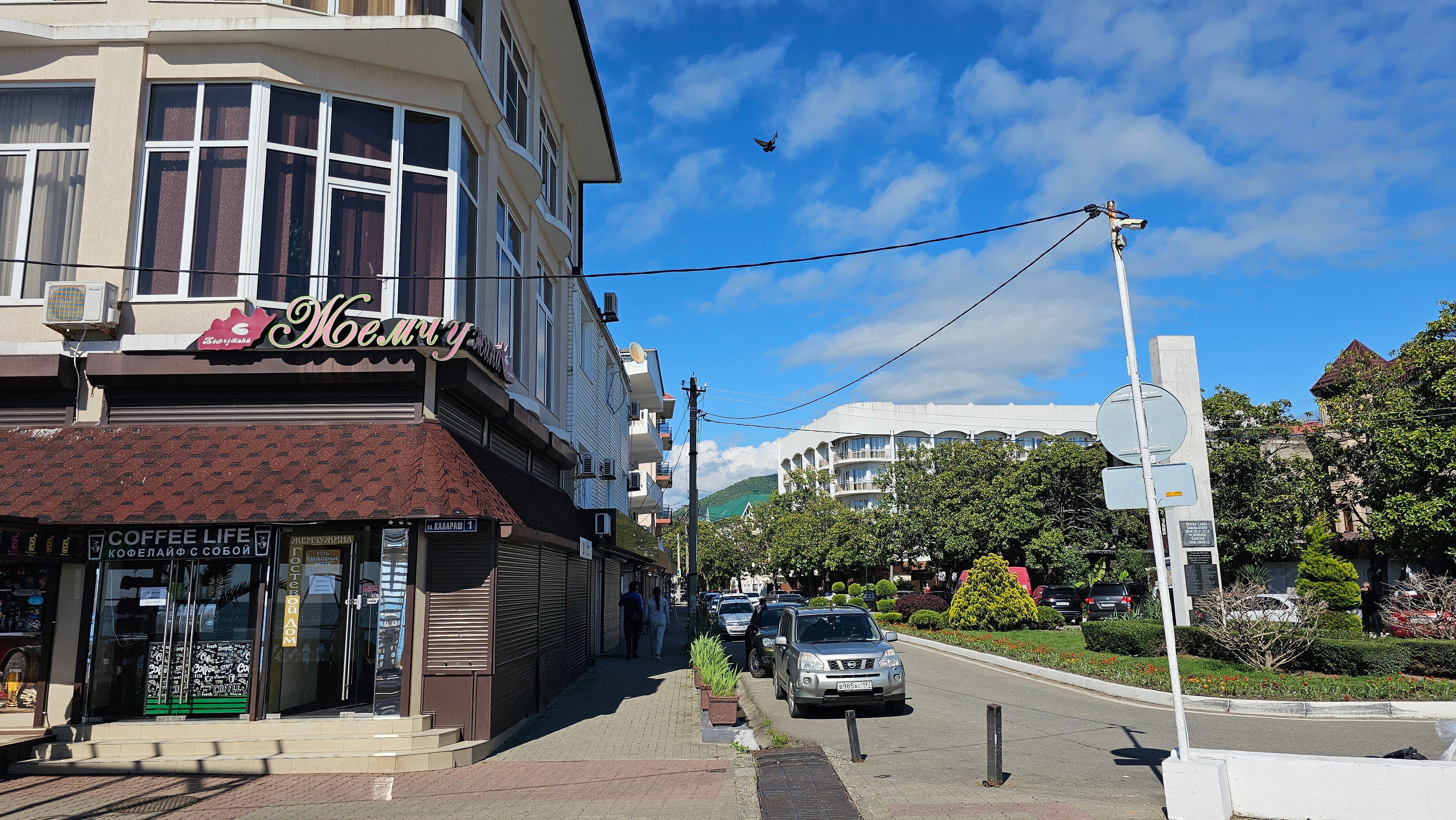 Фото Жемчужина Сочи