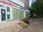 KoAl flowers (Vostochnaya Street, 13), flower shop