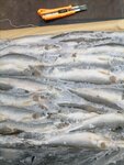 Штурман (ulitsa Krupskoy, 56), fish and seafood