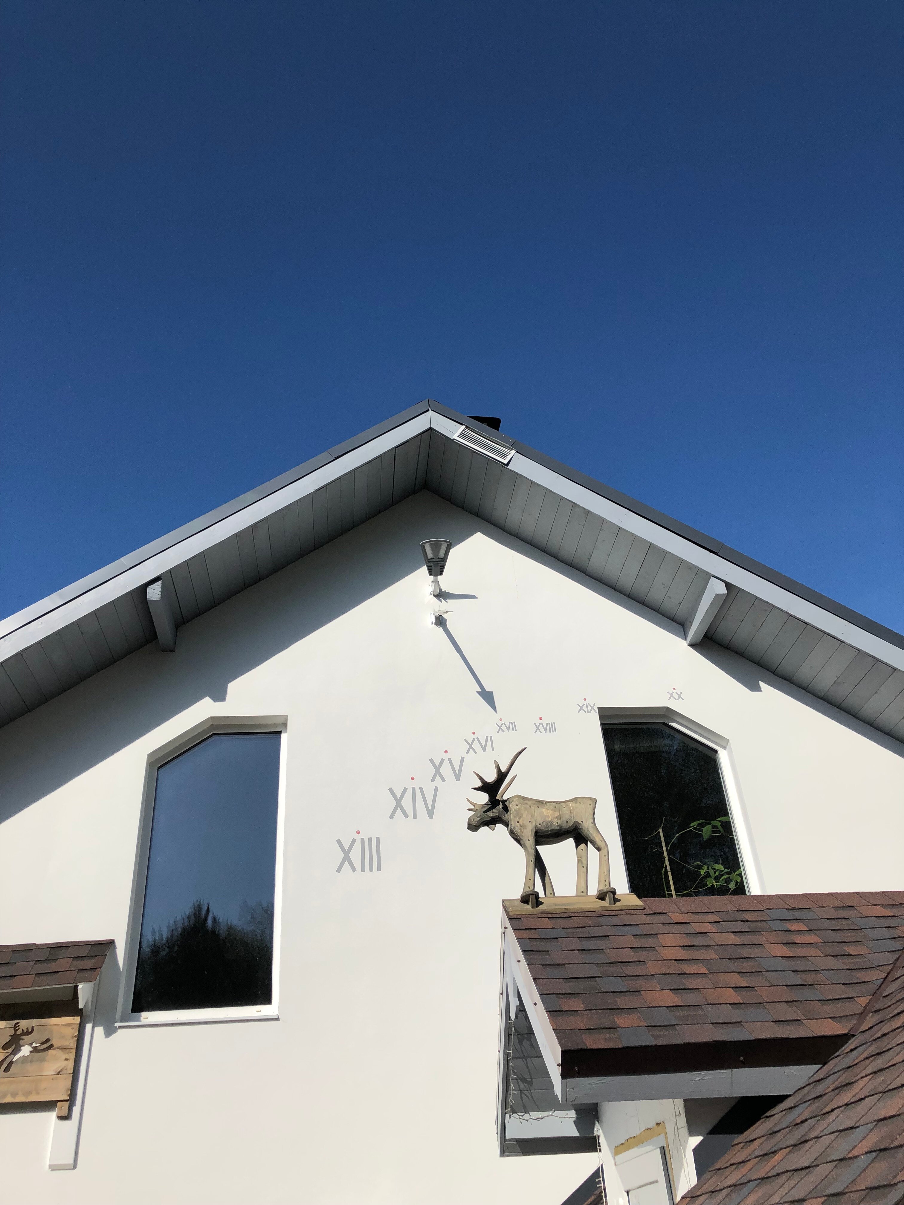 Фото Лосьпробежал