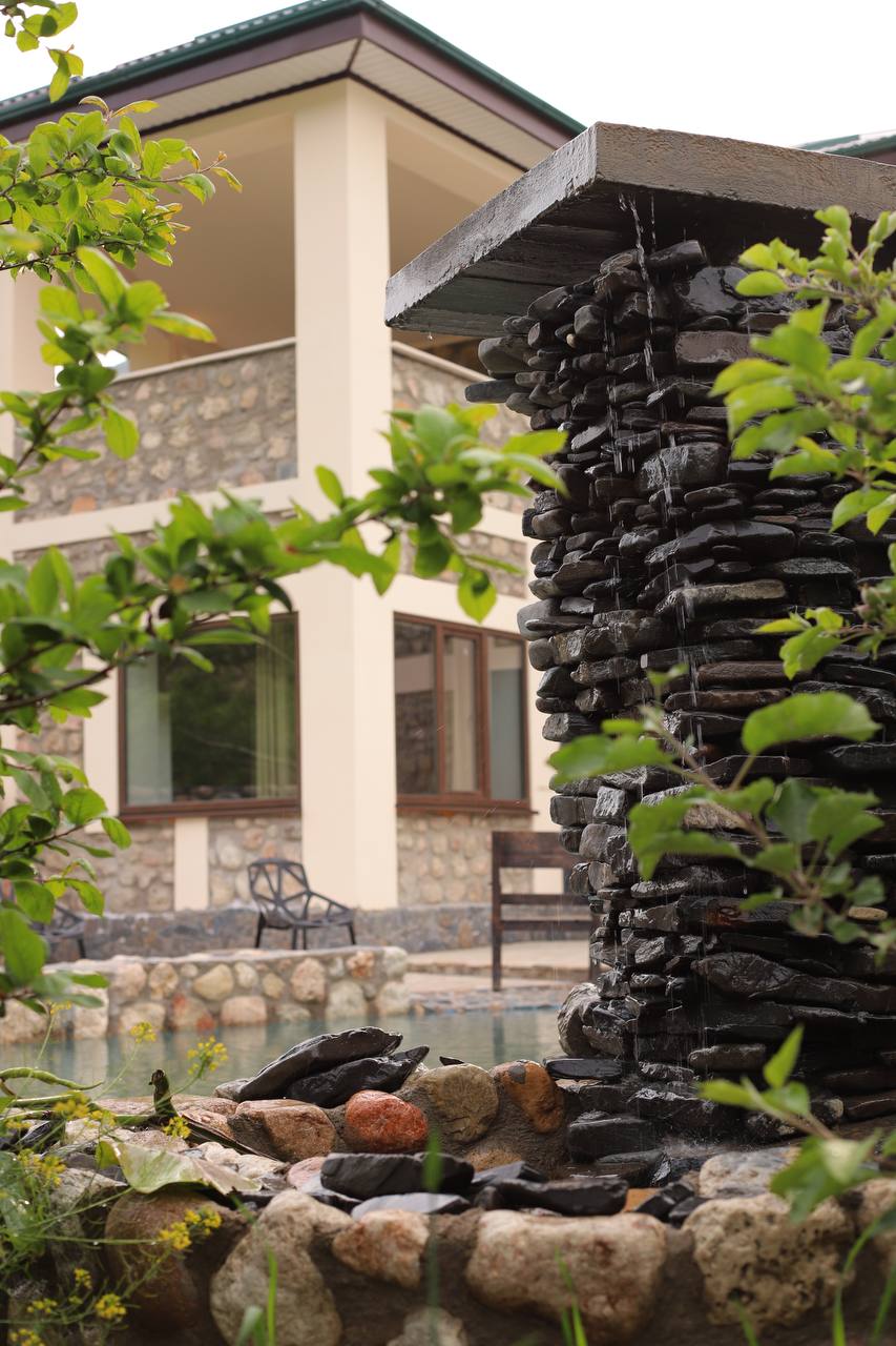 Фото Гнездо солнца