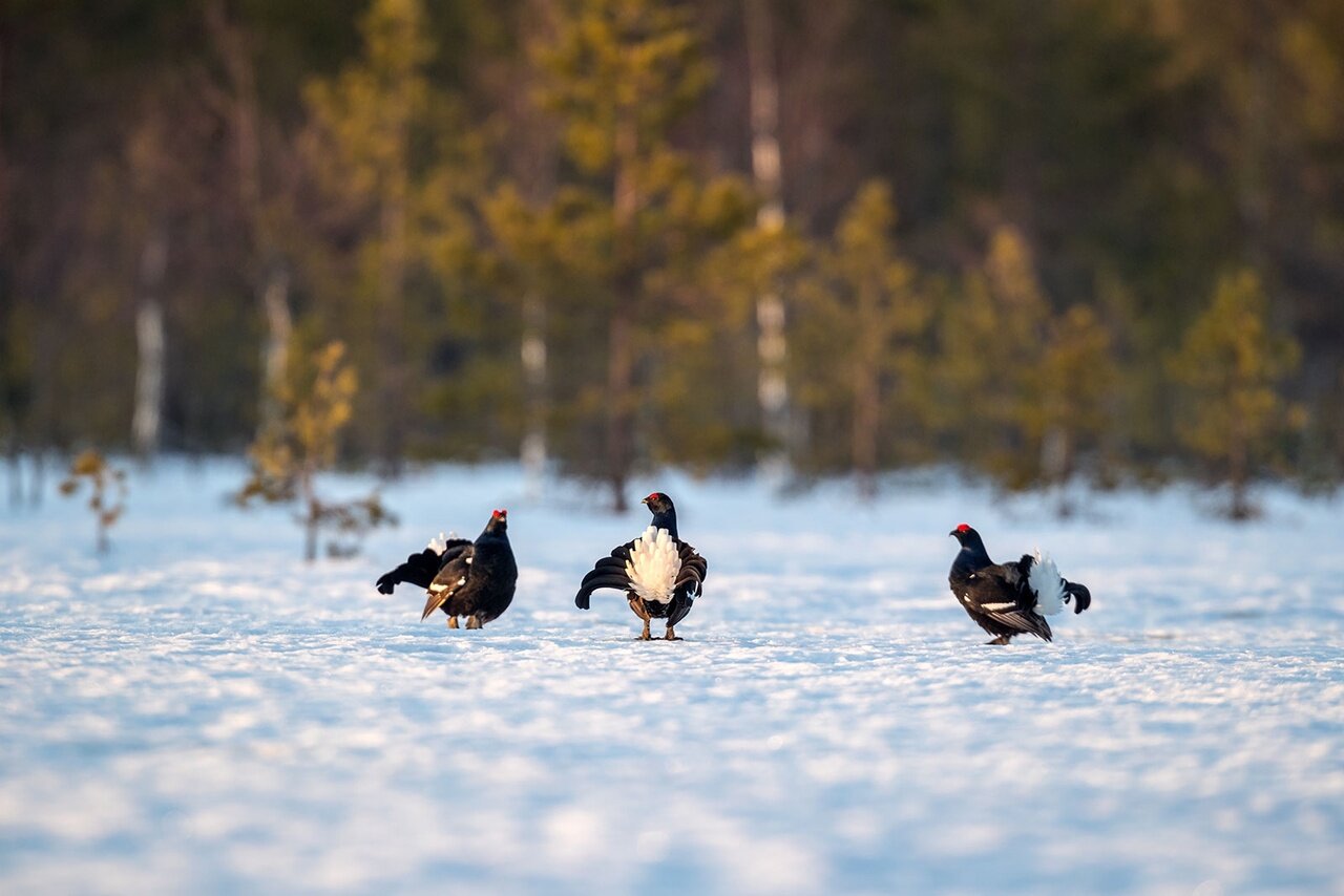 Фото Экотурсервис