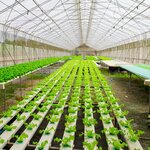 Permatech Water Treatment Equipment Trading (18, 3 Street, Al Qusais Ind. Second, Deira, Dubai), water filters