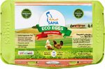 Arabian Farms (Lehbab First, Al Awir, Dubai), agricultural enterprise