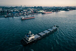 Inchcape Shipping Services (19, N415 Street, Mena Jabal Ali, Jebel Ali, Dubai), logistics company