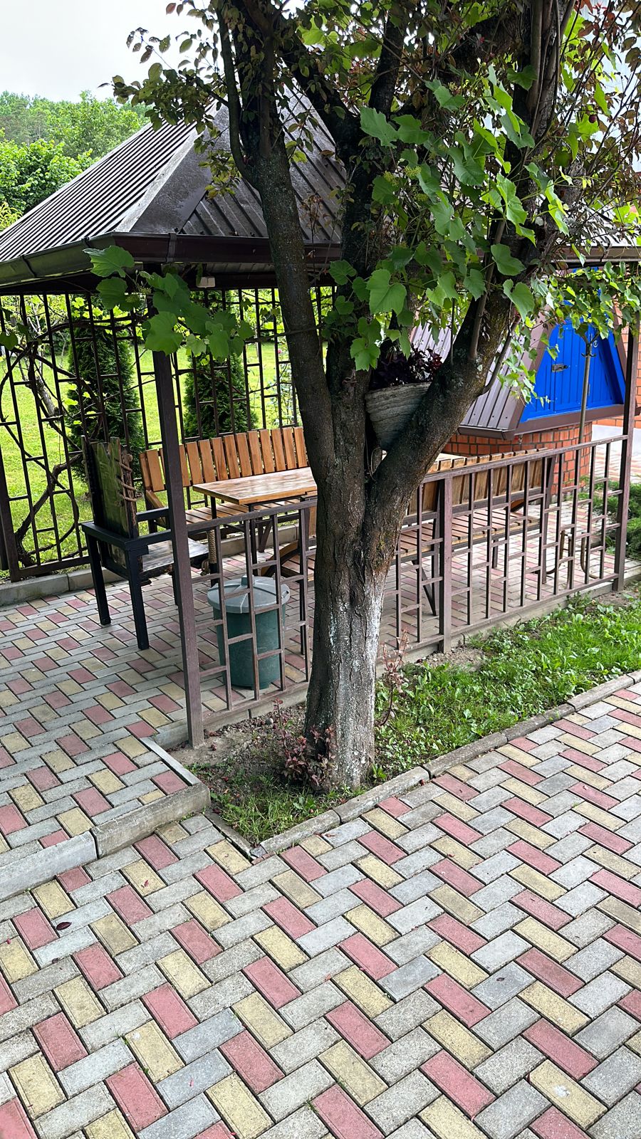 Фото Сказка