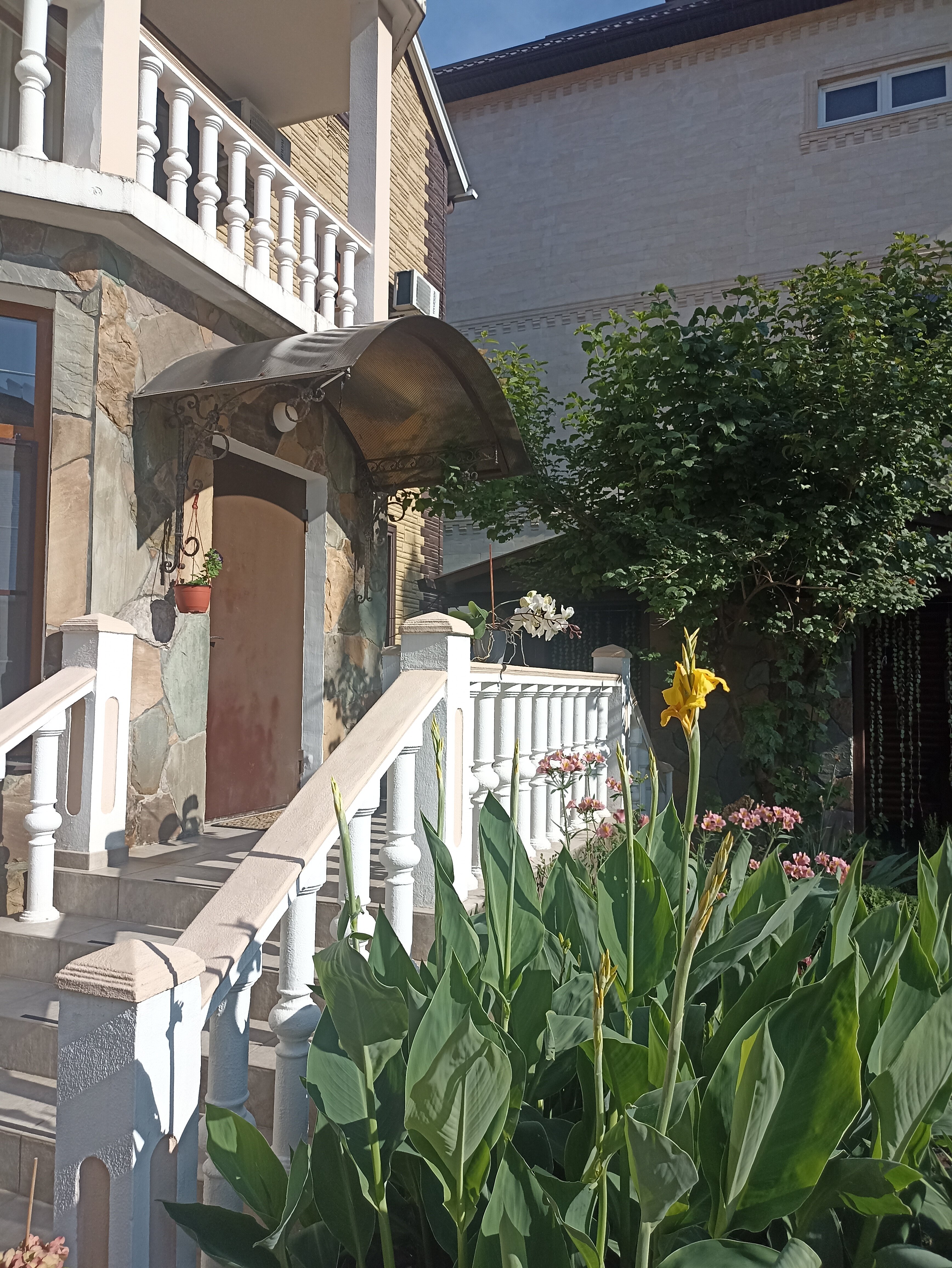 Фото Белая Березка