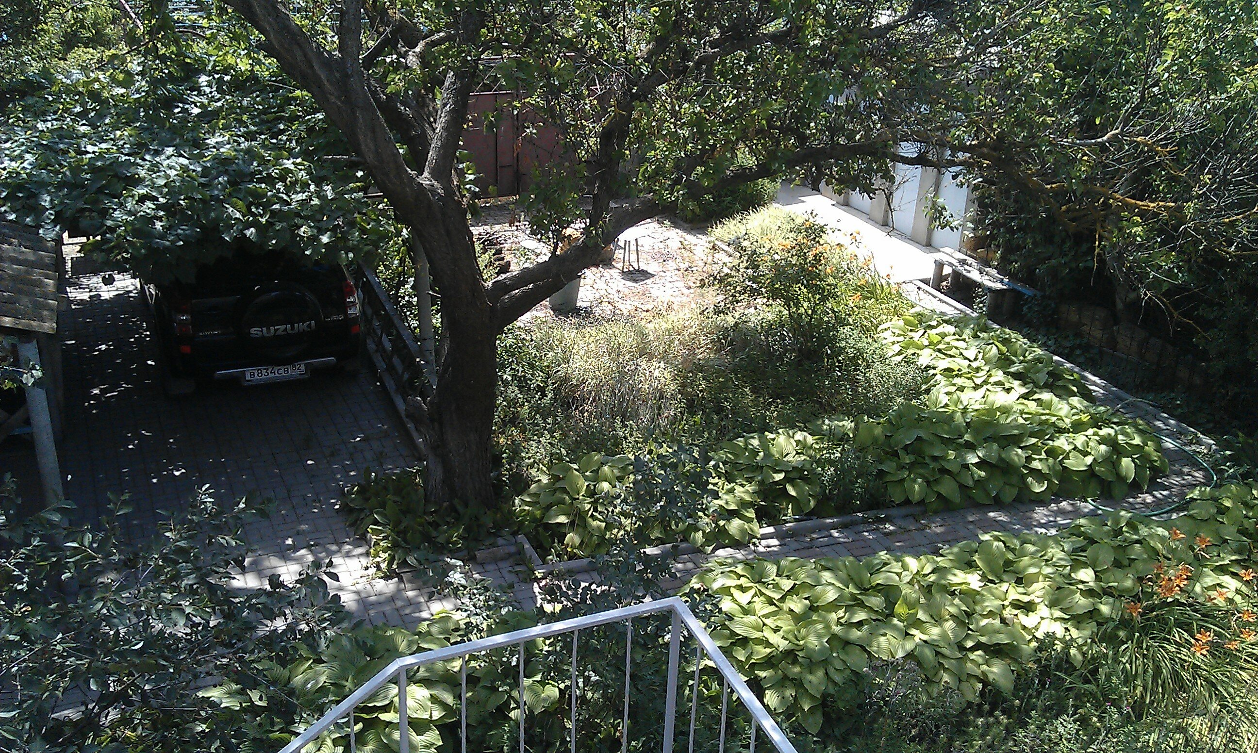 Фото Белая Чайка