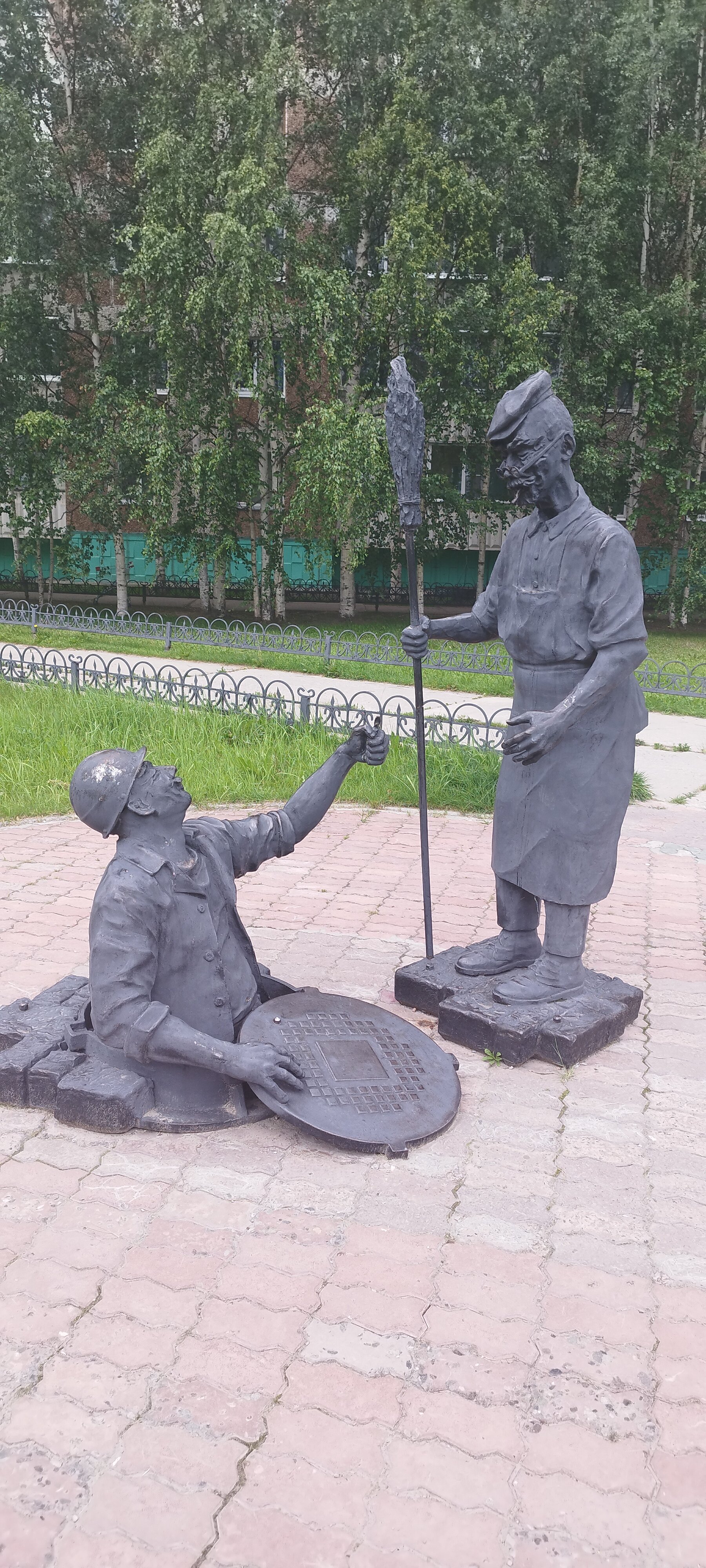Фото Кедр