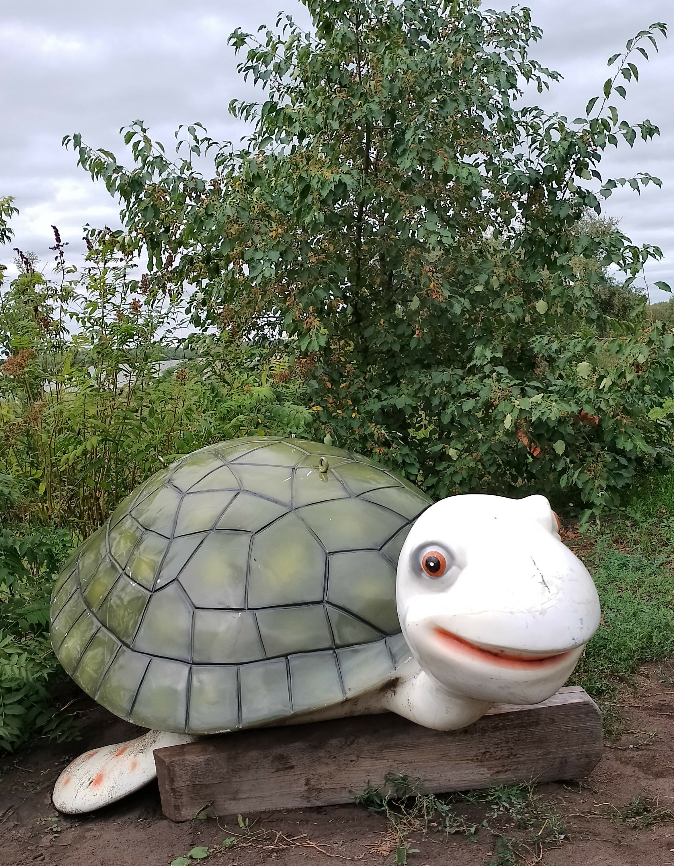 Фото Евромед