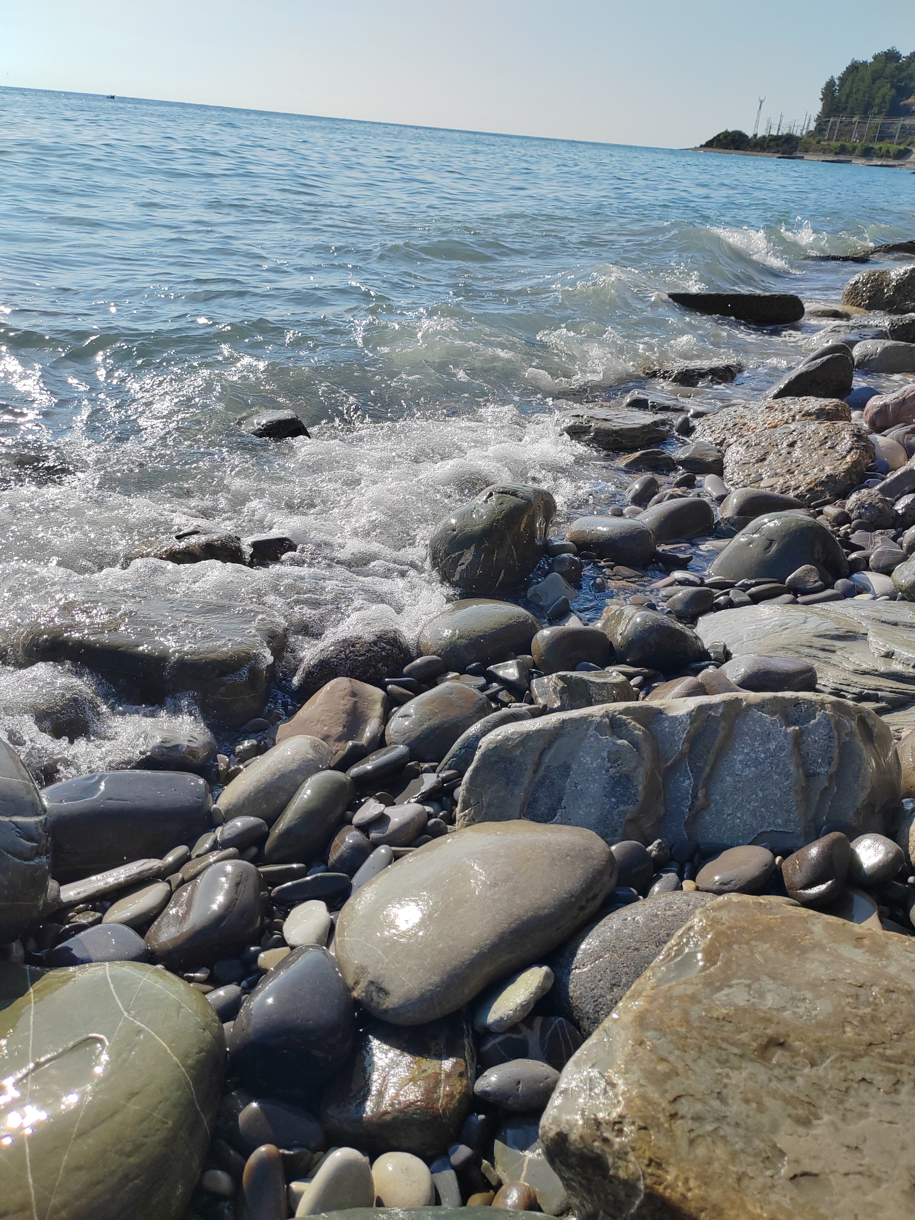 Фото Эллинг 6