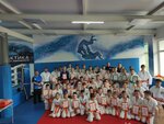 Galactica Martial Arts Union (Gosudarstvennogo Plemennogo Zavoda Konstantinovo Settlement, Domodedovskoye Highway, вл60), sports school