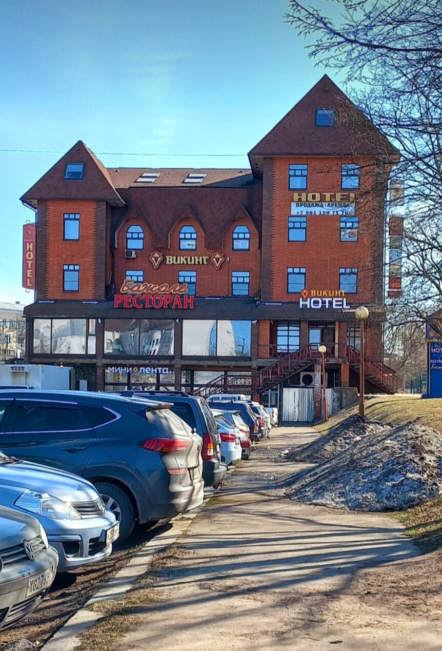 Фото Викинг I