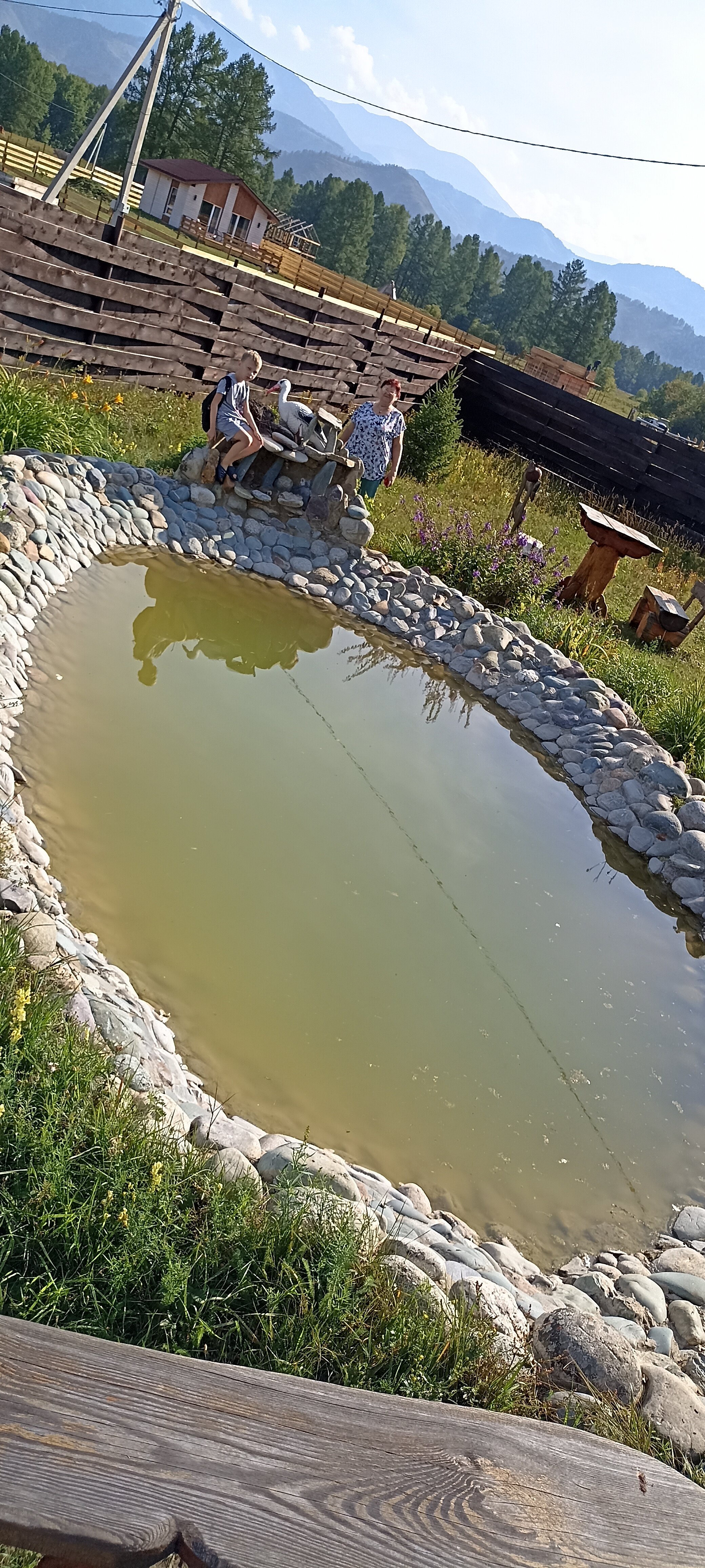 Фото Медуница