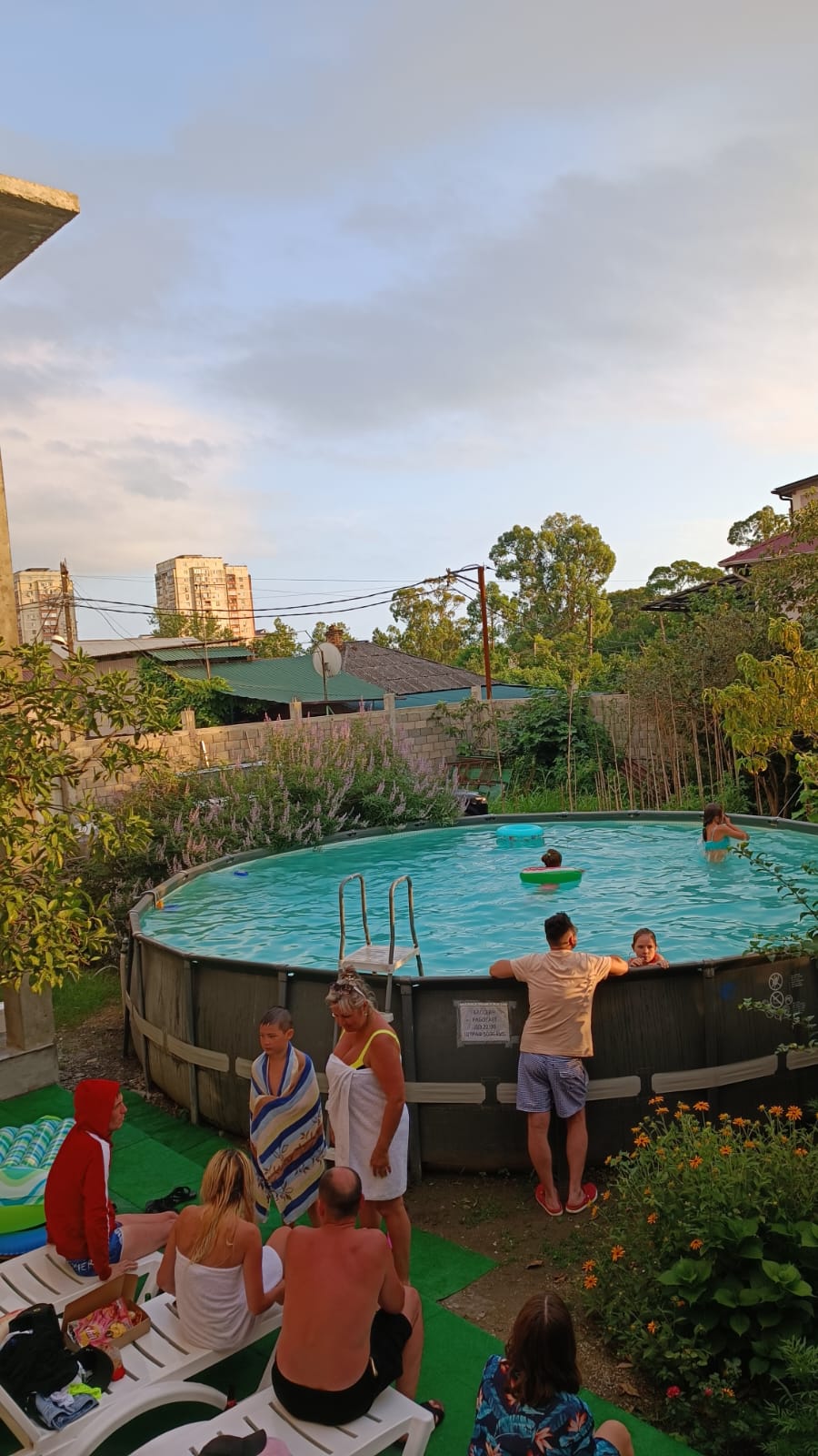 Фото Орхидея