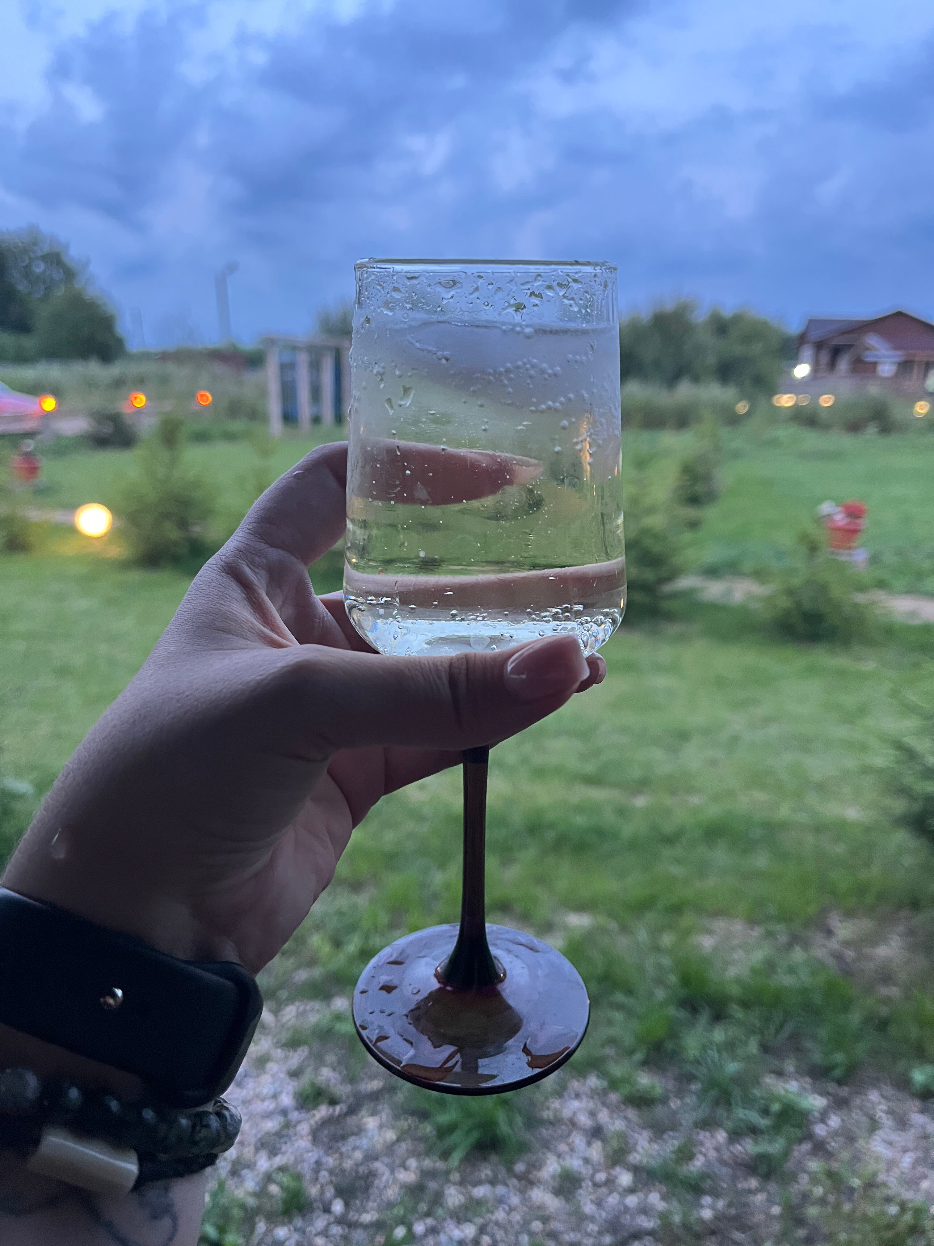 Фото Petro Castle