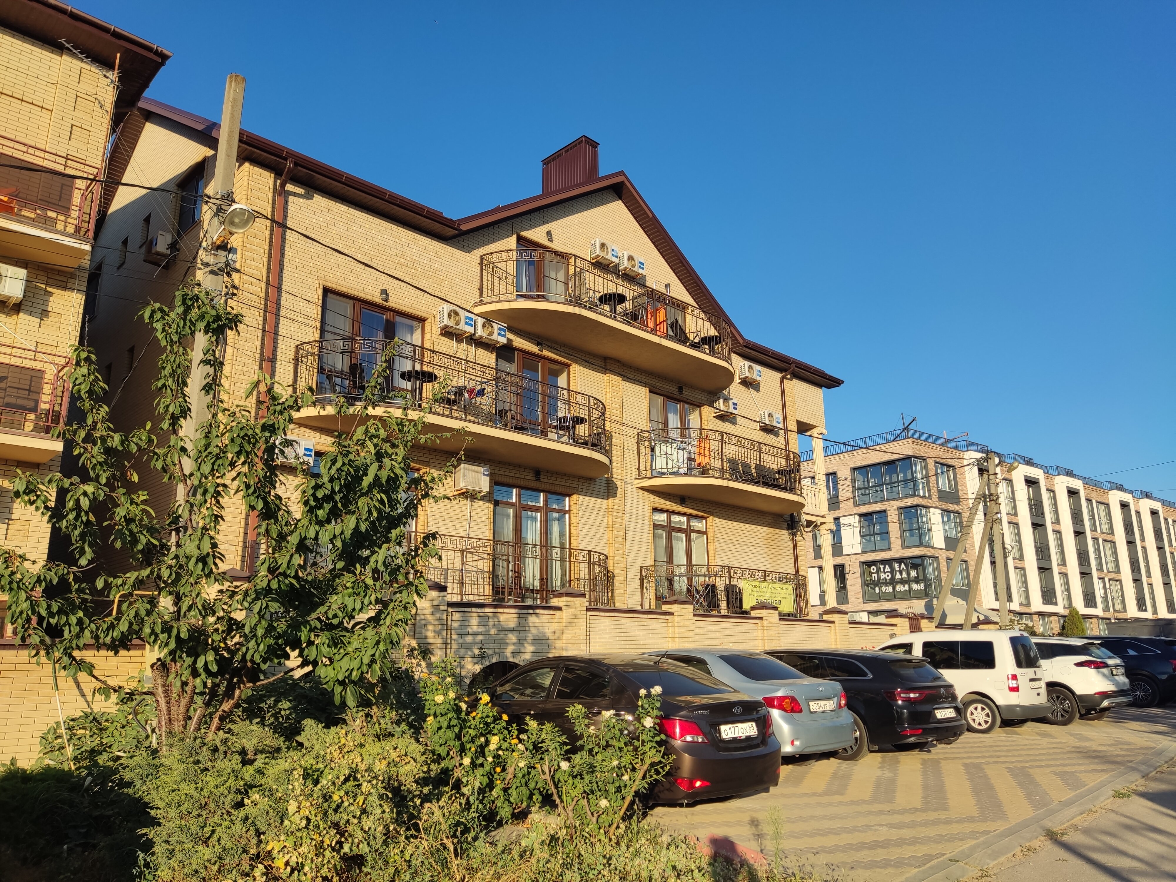 Фото Приветливый