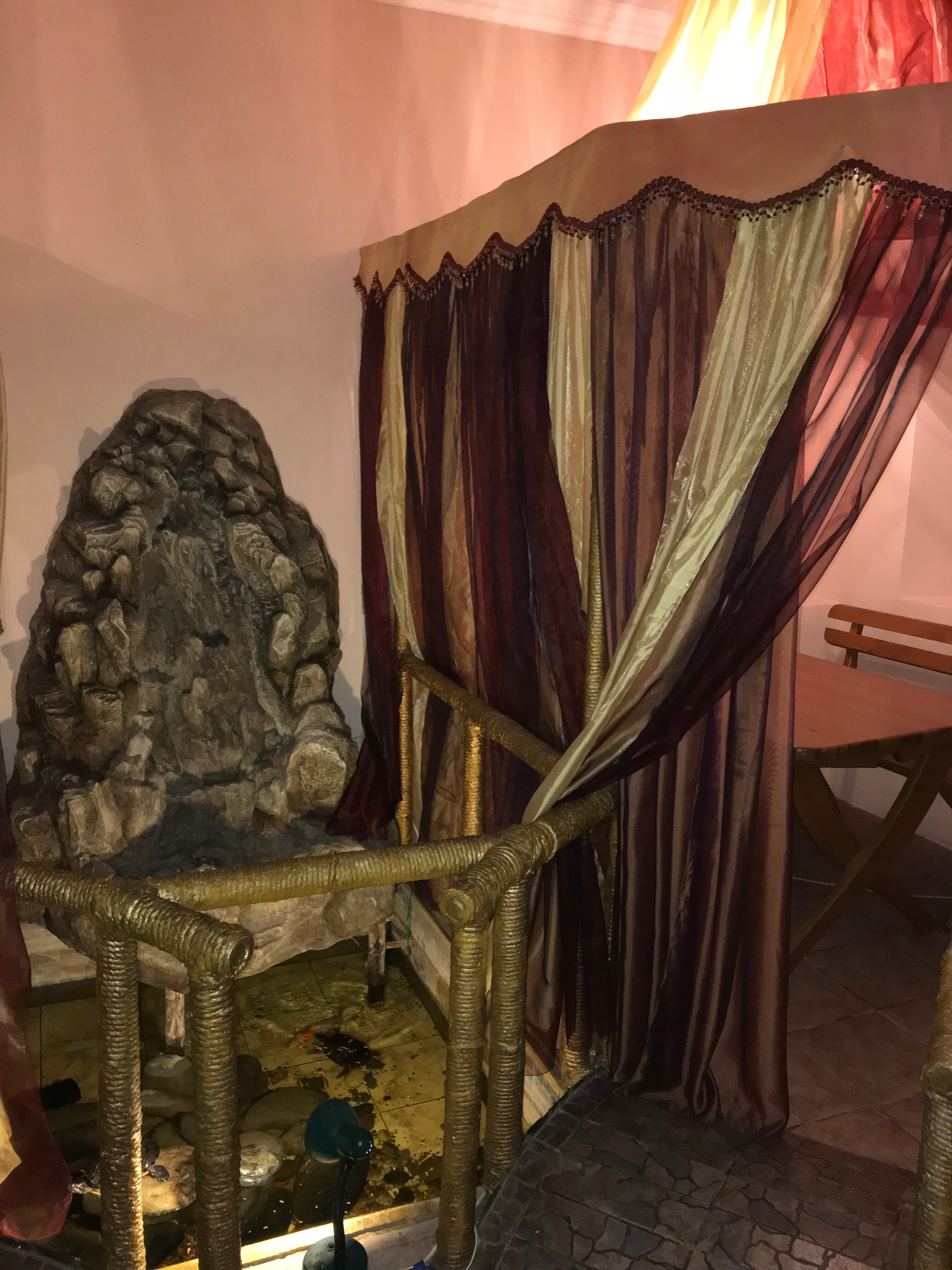 Фото Золотой дракон