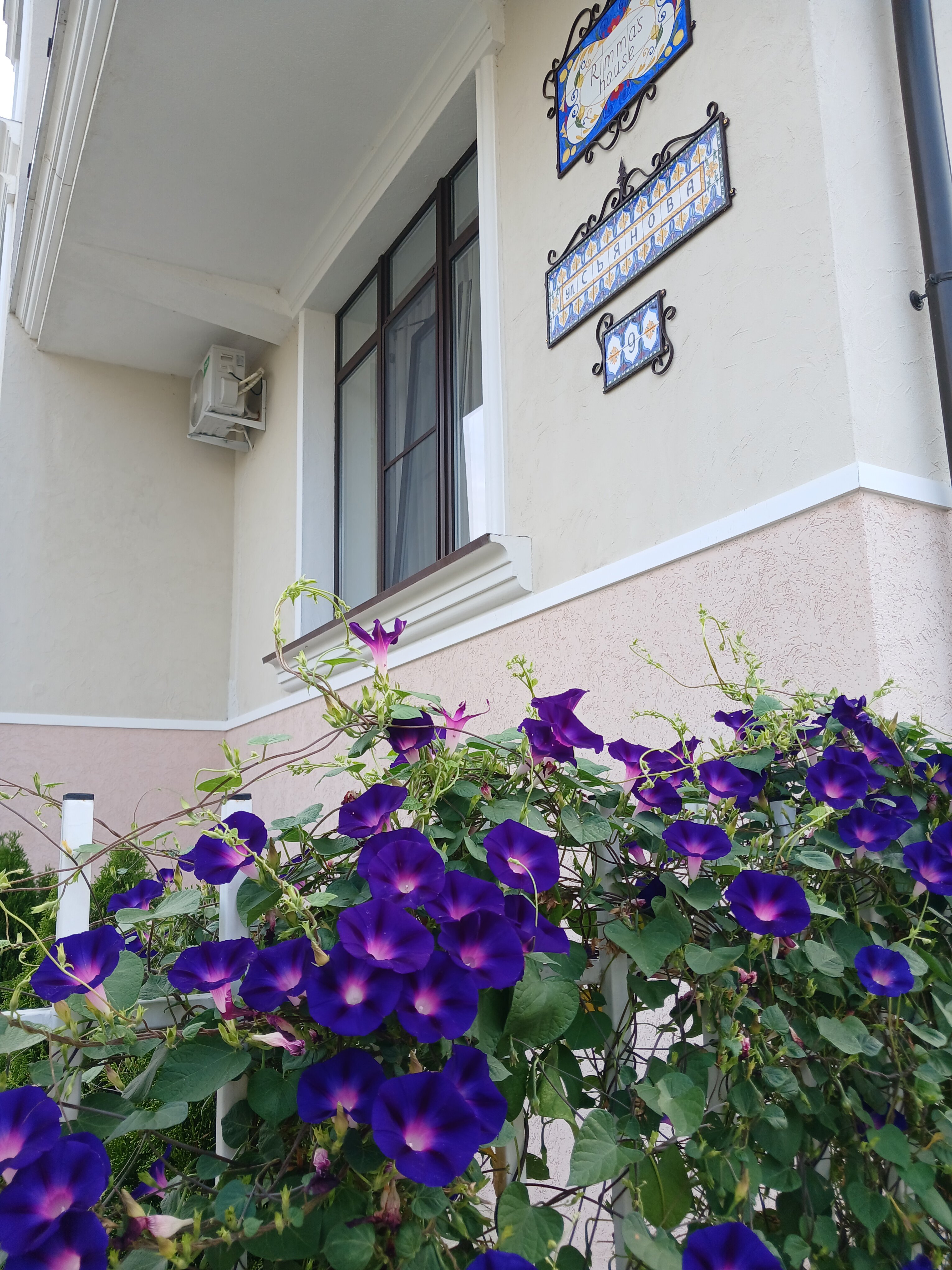 Фото Rimma’s house