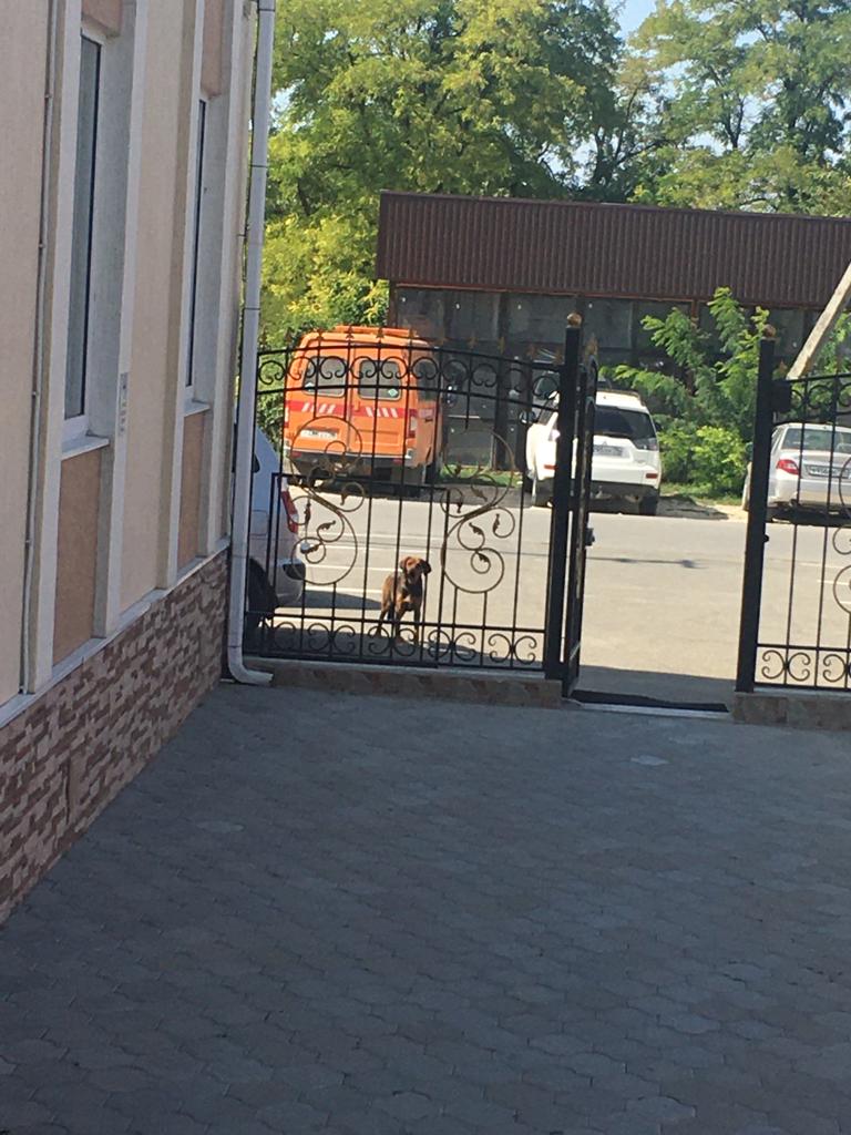 Фото Жемчужина