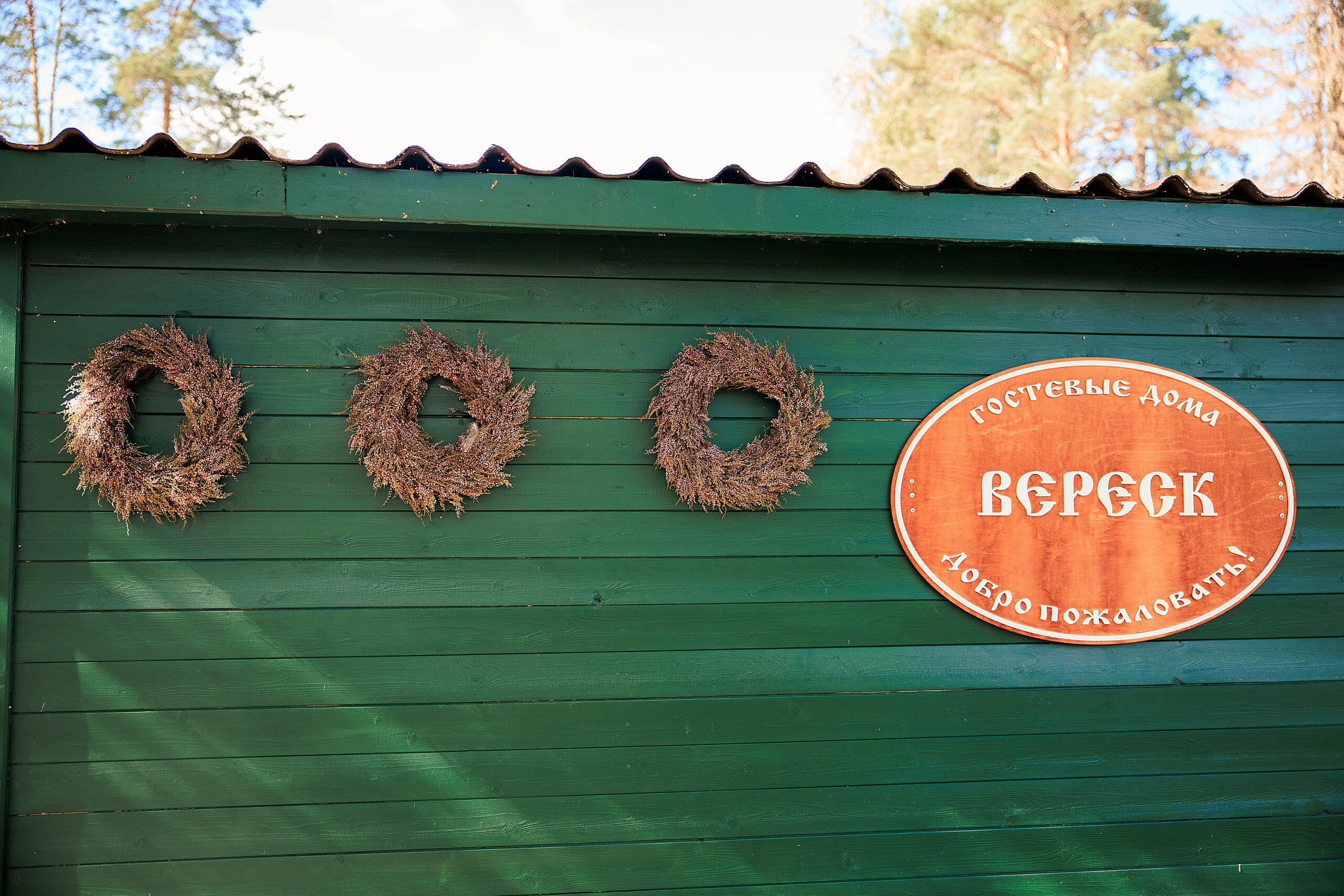 Фото Вереск