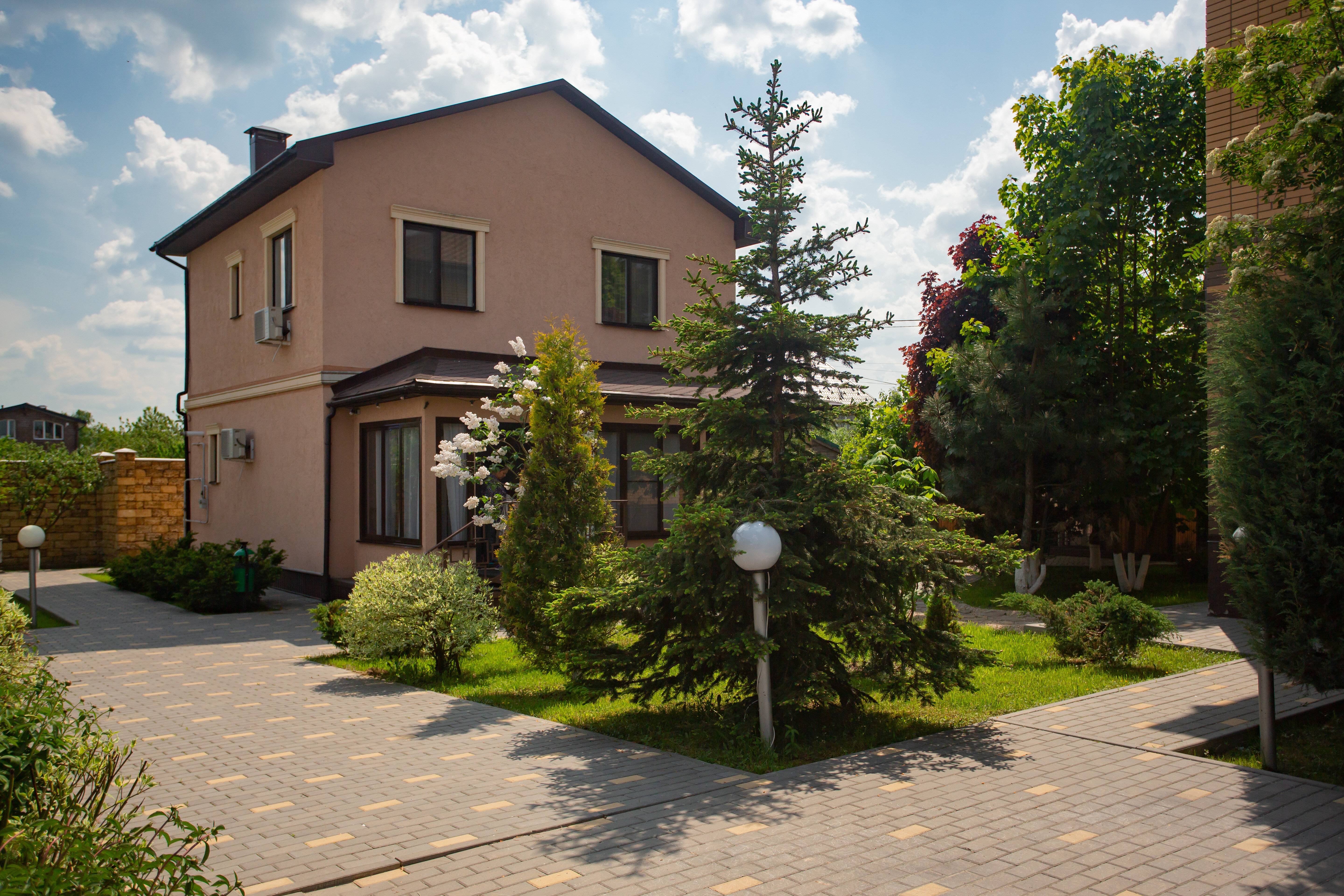 Фото Тополя