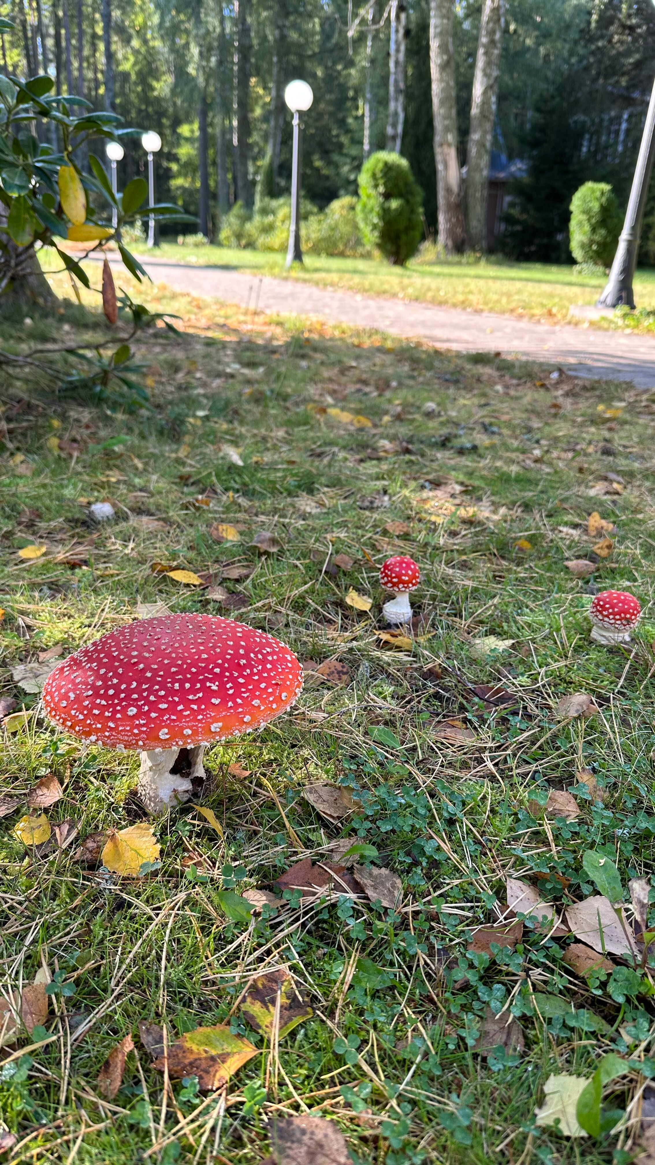 Фото Архитектура здоровья