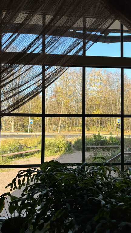 Фото Ковчег